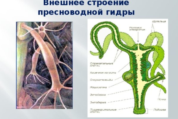 Кракен ссылка официальная в тор